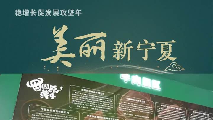 美丽新宁夏|隆德雪花牛肉
