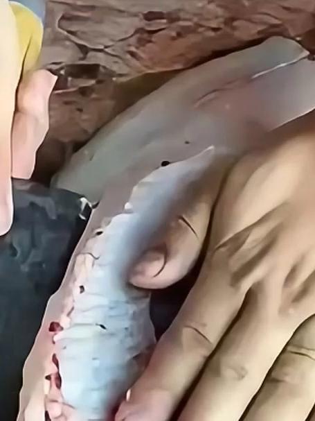 鱼片快速改刀切法