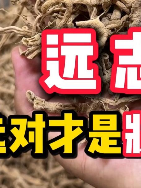远志 选对才是状元茶