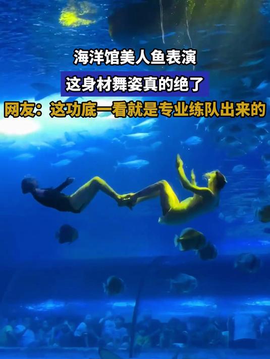 海洋馆美人鱼表演,这身材舞姿真的绝了