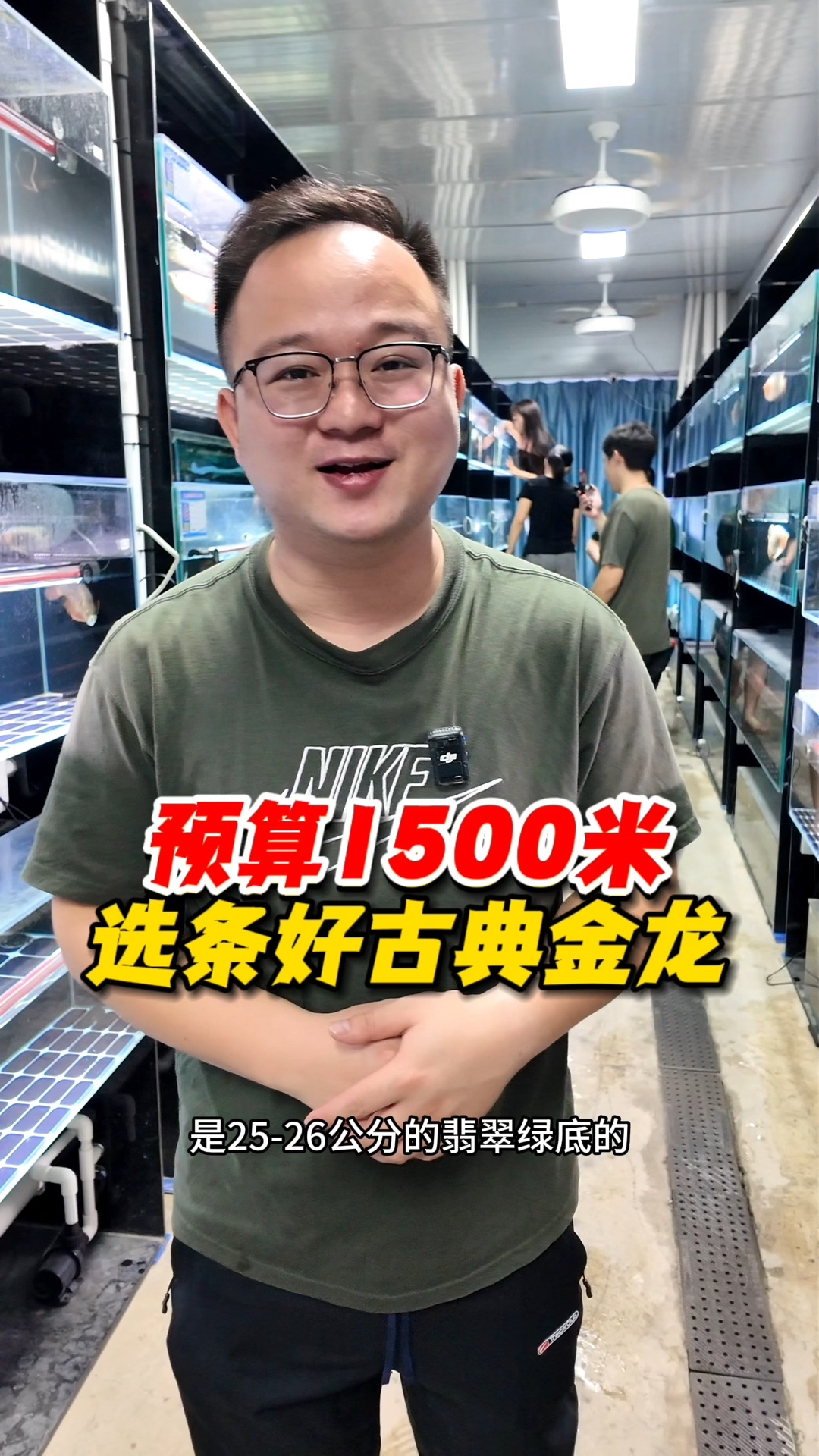 预算1500左右,如何选择一条性价比高的古典翡翠绿底过背金龙,感兴趣的铁铁快来看看吧