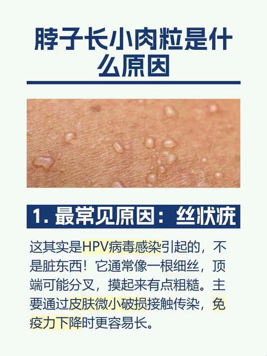 脖子长小肉粒是什么原因