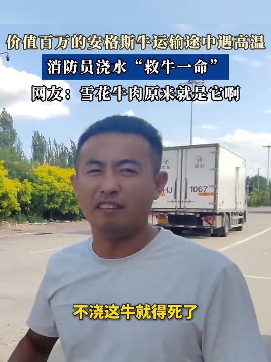 价值百万的安格斯牛运输途中遇高温,消防员浇水“救牛一命”