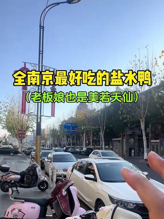 全南京最好吃的盐水鸭(老板娘也是美若天仙)