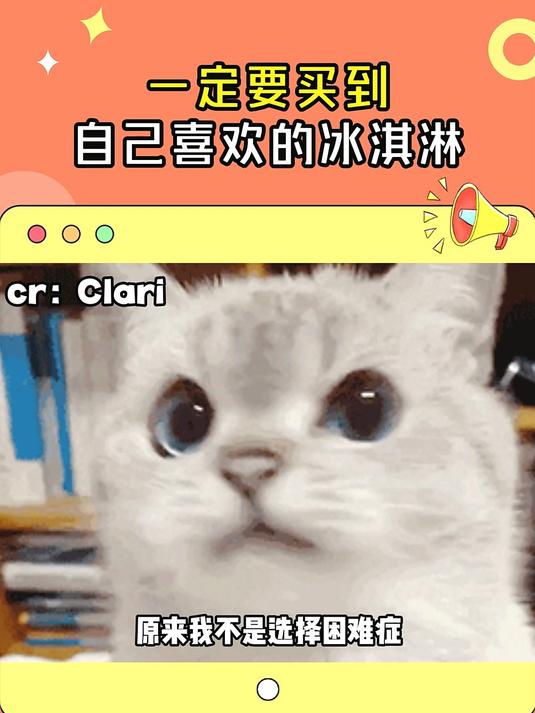 一定要买到自己喜欢的冰淇淋