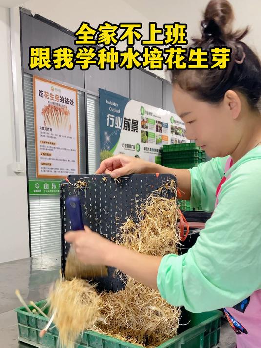 全家不上班跟我学种水培花生芽