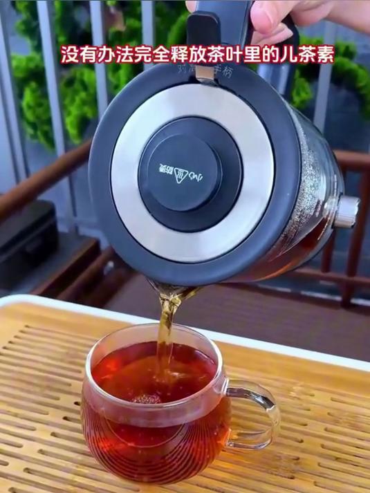 「德国品质」大容量蒸汽喷淋式煮茶器养生壶两用，自动保温功能