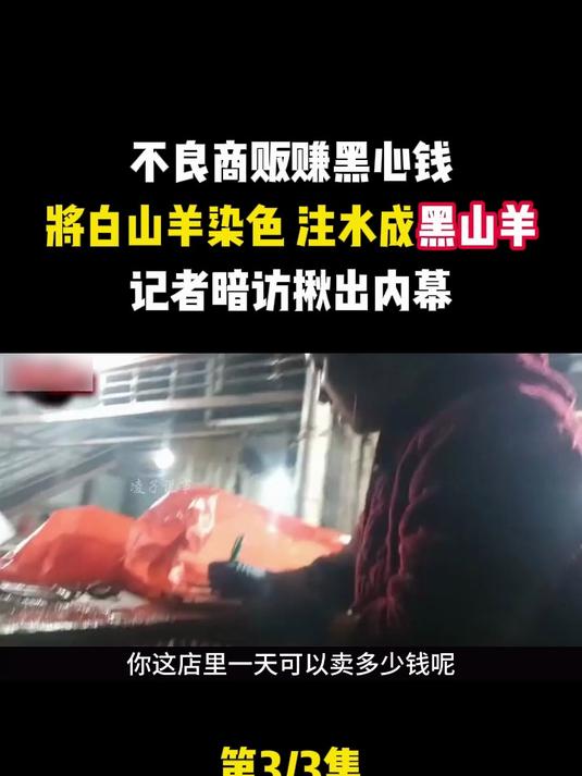 不良商贩赚黑心钱,将白山羊染色成黑山羊,记者暗访揪出内幕