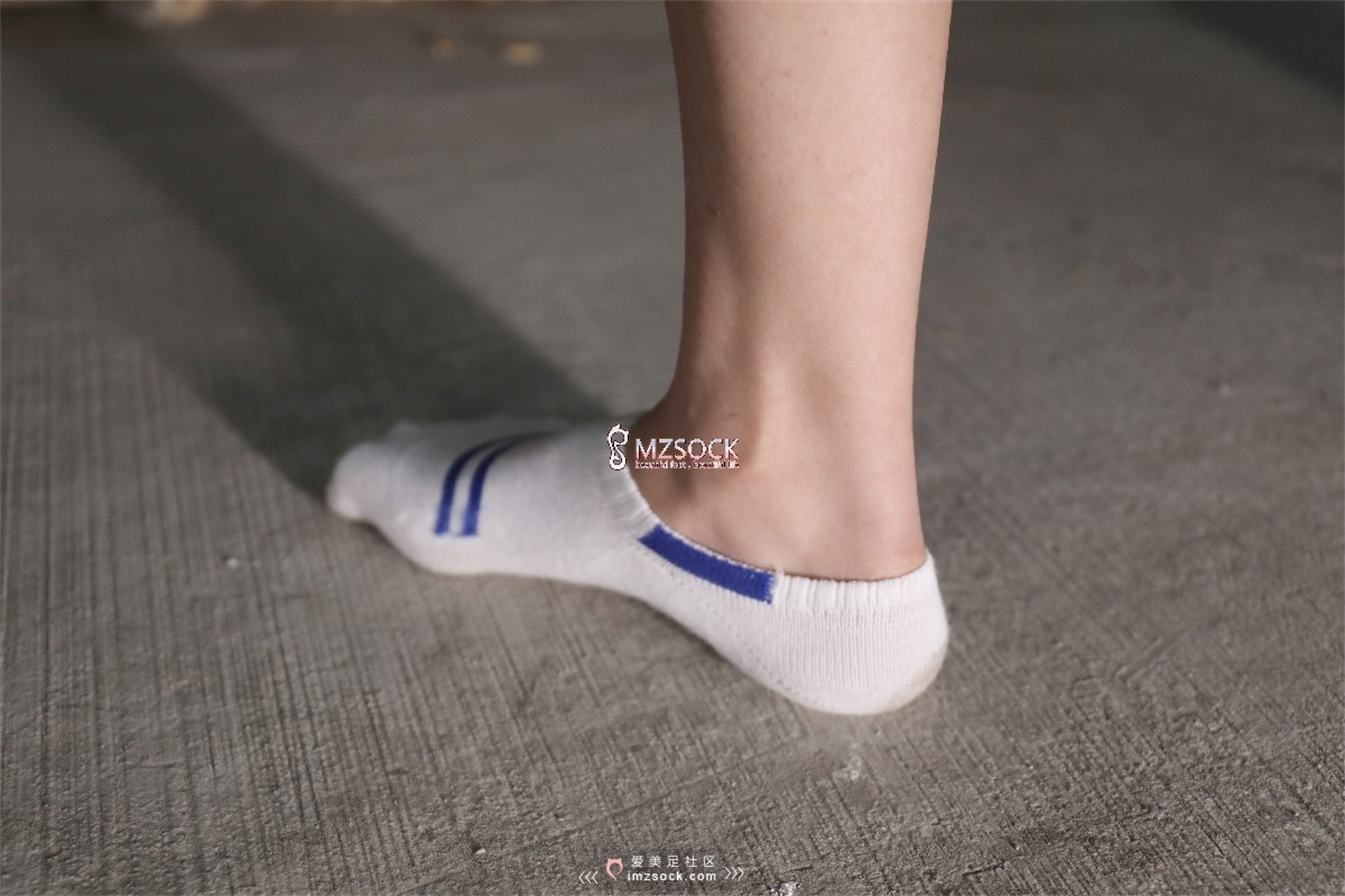 图片[33]-[MZSOCK]爱美足 NO.066 叮叮[102P238M]-六色网