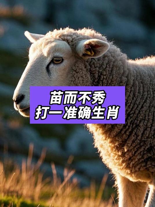苗而不秀打一准确生肖