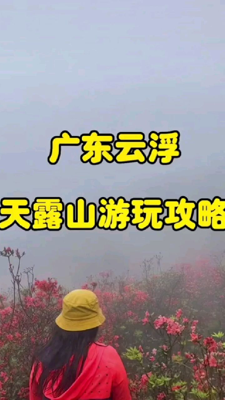 岭南天然氧吧/天露山