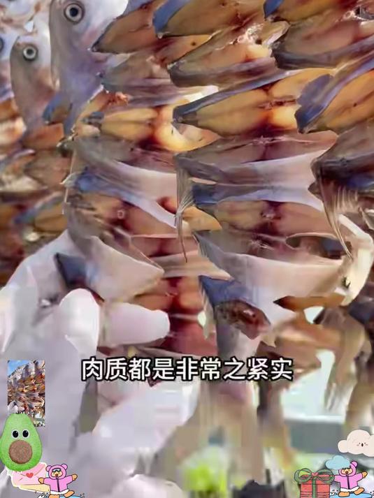 深海金鲳鲜捕现制,自然风干锁鲜,肉质紧实弹牙,咸淡适口不齁咸