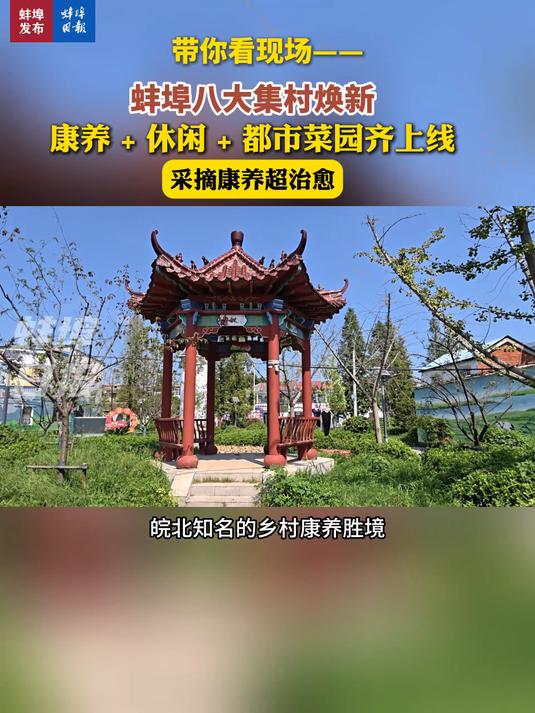 带你看现场——蚌埠八大集村焕新,康养 + 休闲 + 都市菜园齐上线,采摘康养超治愈