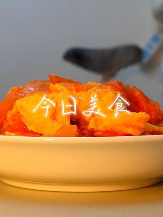 谁能拒绝一碗酸鲜开胃的番茄炒蛋盖浇饭呢