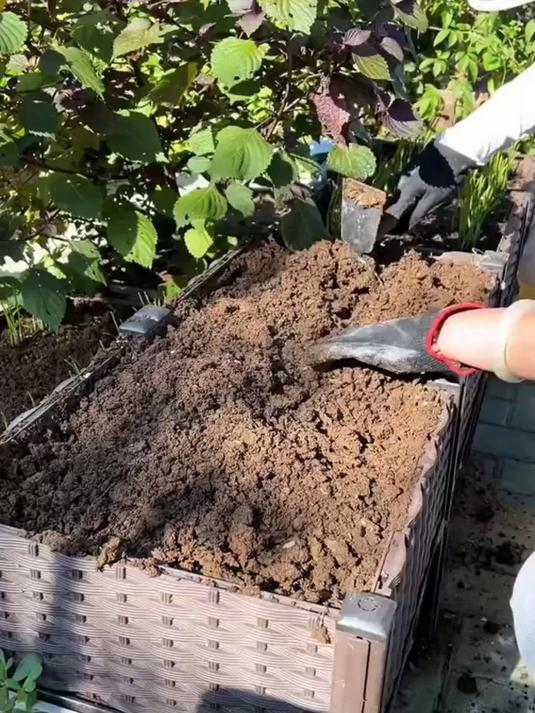 看看这些用户是如何利用菜藤堆肥的,让你的种植更轻松!