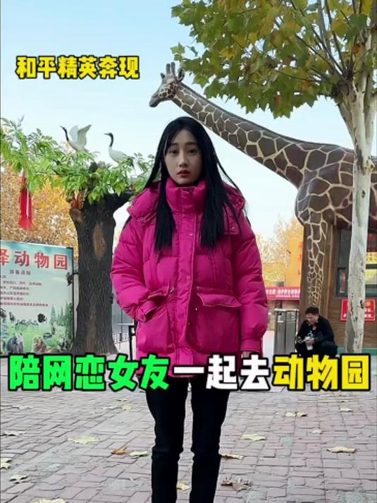 孵化小鸡的第一天