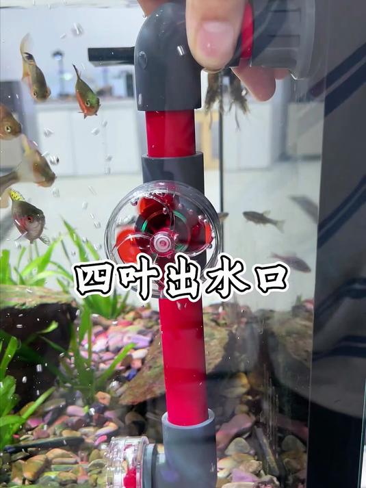 现在很多人都把出水口换成这种减缓水流还能造浪增氧的四叶小风扇