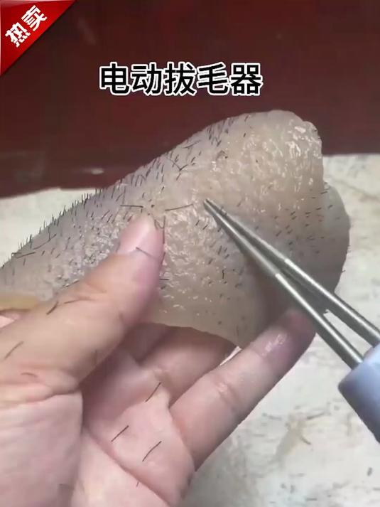 家商用拔毛好帮手!全自动电动神器,防水充电超方便