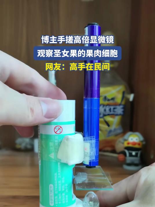 博主手搓高倍显微镜,观察圣女果的果肉细胞,网友:高手在民间