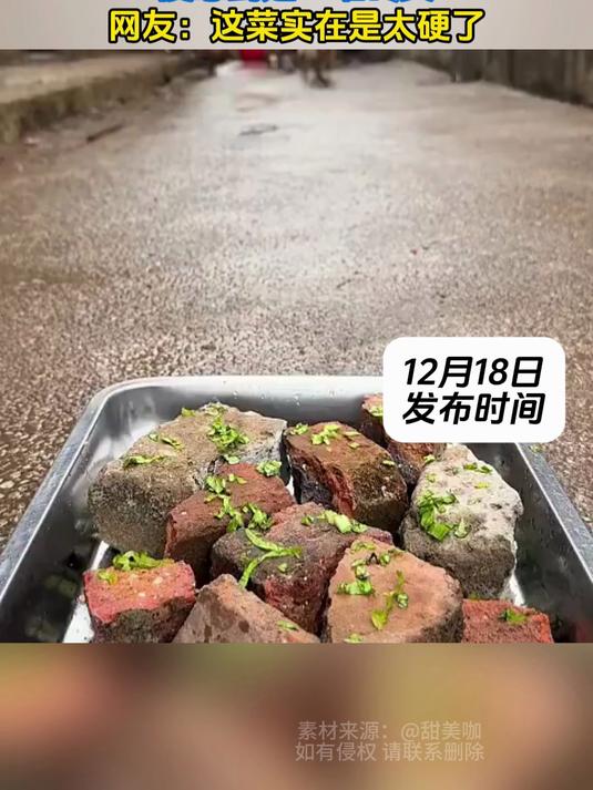 男子给狗狗们准备了“硬菜”,没想到是一堆砖头,网友:这菜实在是太硬了