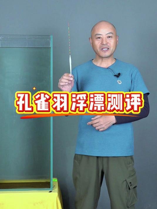 海悦OLED孔雀羽日夜两用夜光漂测评!