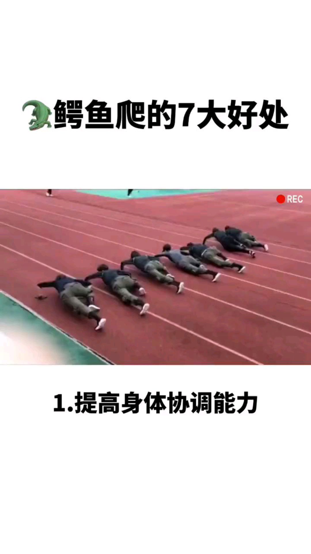 鳄鱼爬有七大好处?健身教练这样回答!