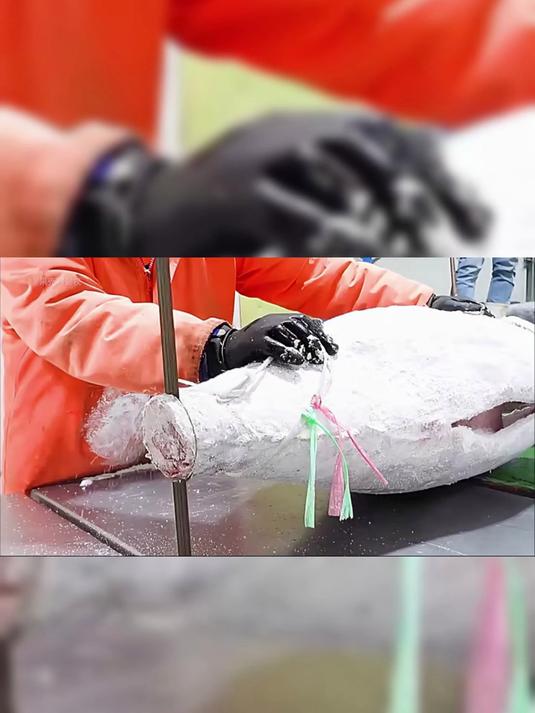 一口沦陷!金枪鱼罐头的 5 种神仙吃法,懒癌患者直接抄作业