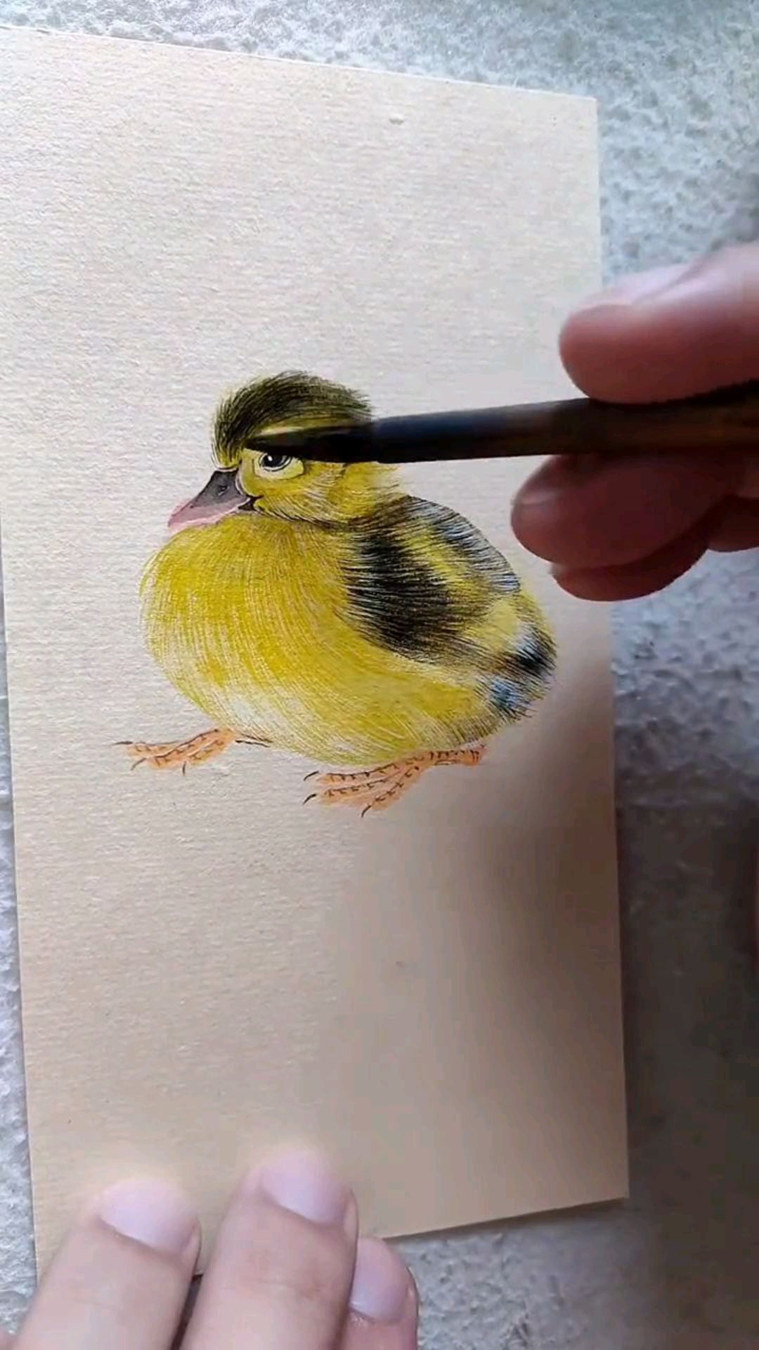 简简单单画一只小鸭子