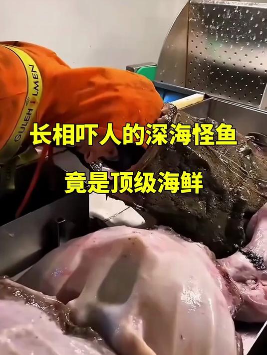 长相吓人的深海怪鱼，竟是顶级海鲜！