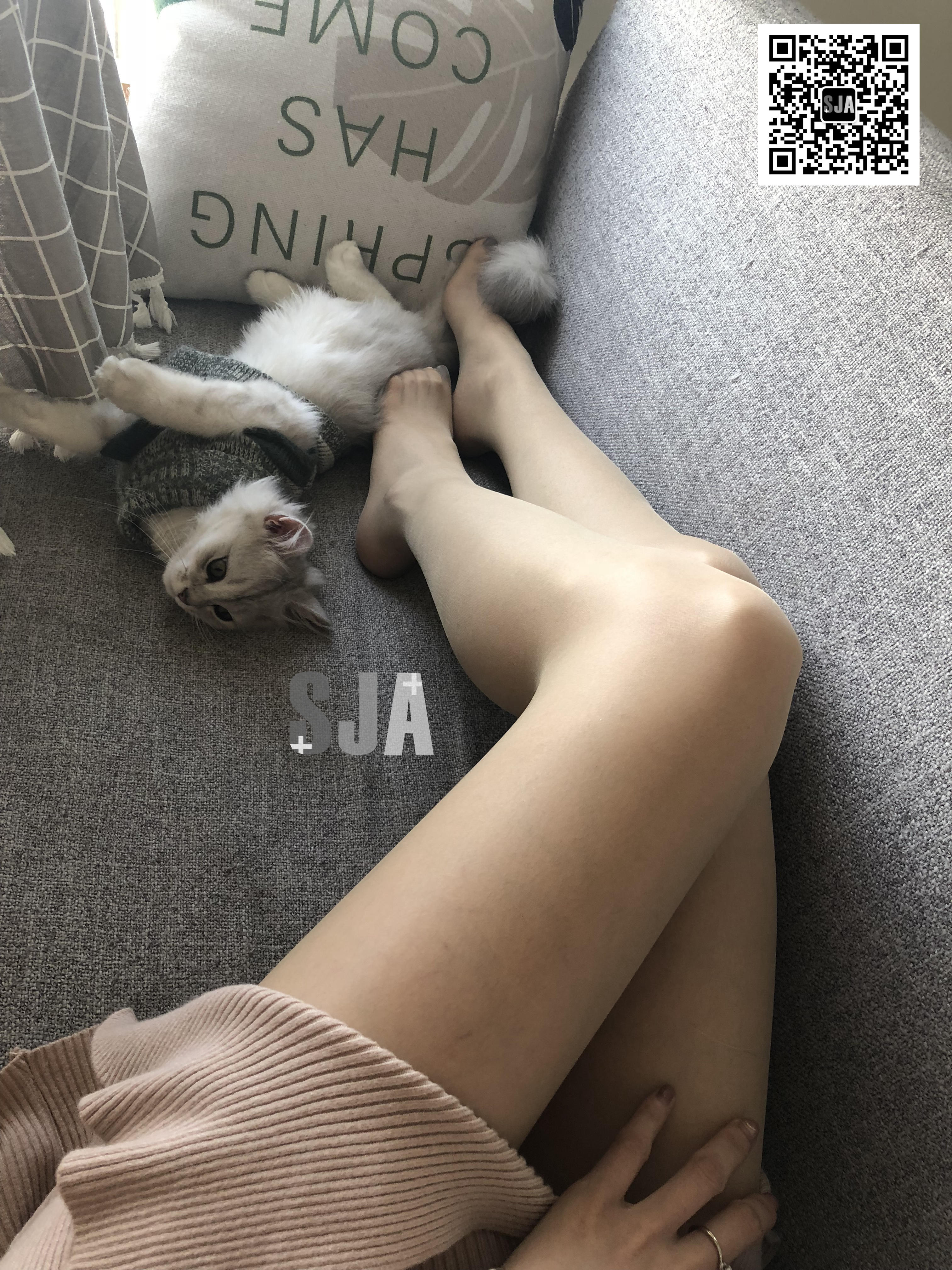 图片[39]-[SJA佳爷]闺蜜视角 NO.013 喵 [60P+81M]-六色网