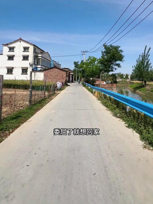委屈了就想家，工作不顺心就不想干了