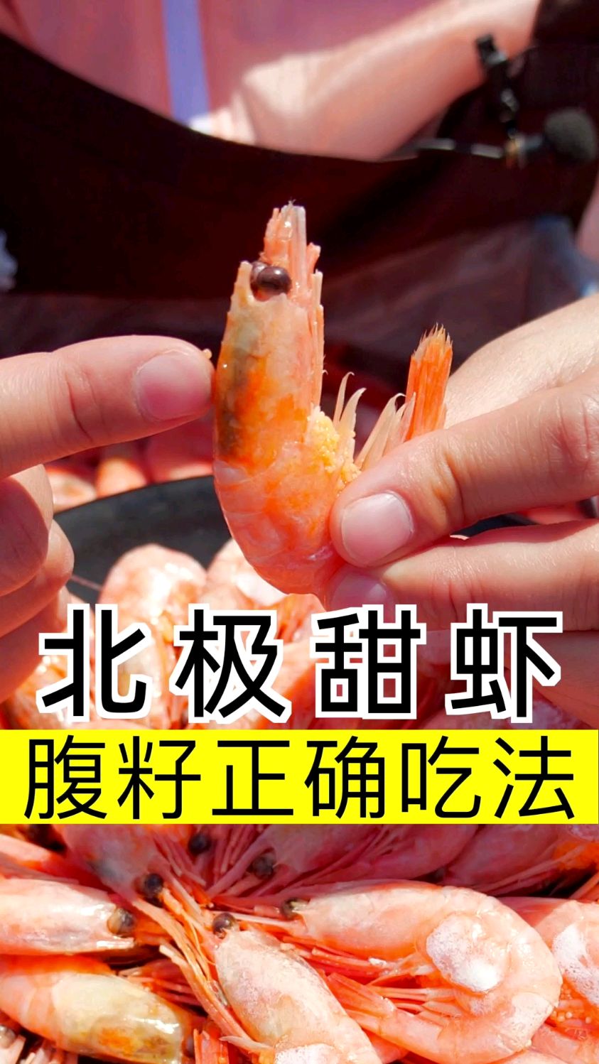 如何正确吃腹籽北极甜虾?