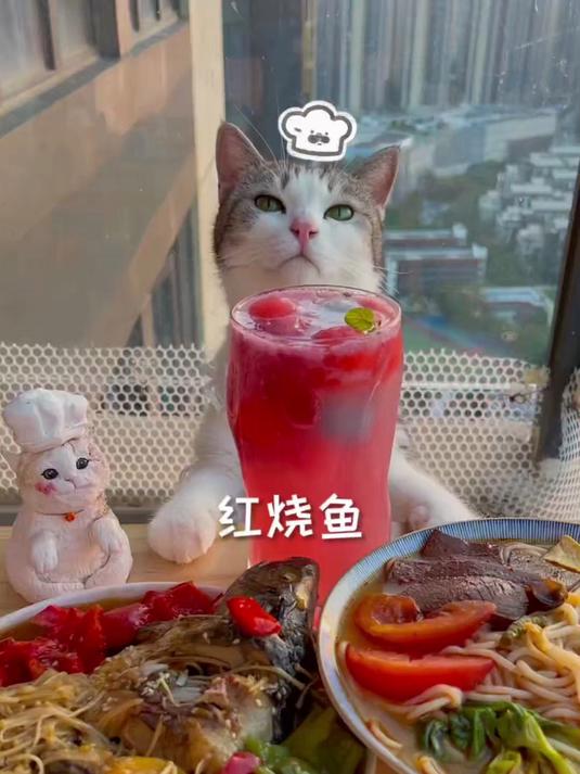 厨猫:红烧鱼这么做,简单又美味!