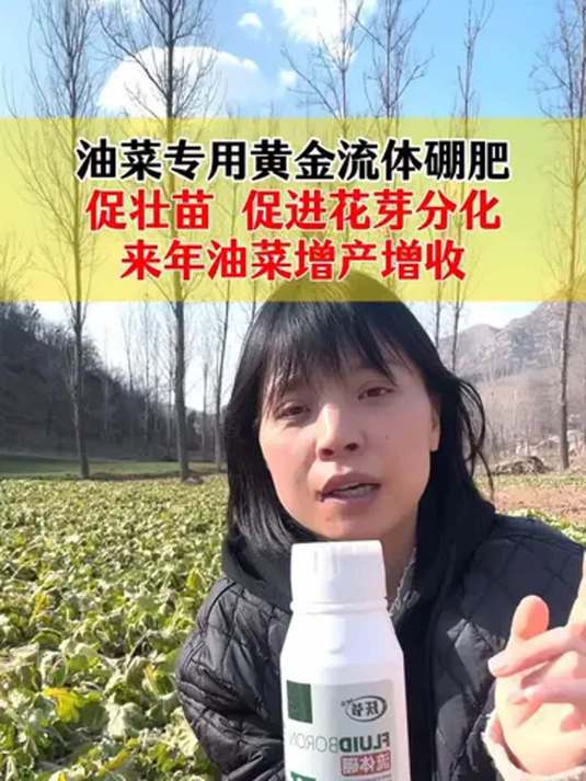 油菜用黄金流体硼肥 壮苗过冬 花芽分化 高产无忧