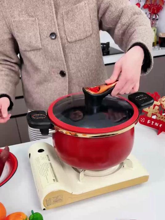 揭秘我家常炖锅!微压锁鲜,一锅出两菜超香