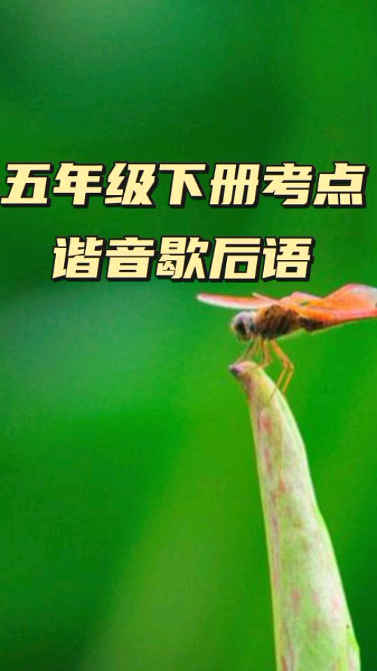 五年级下册考点——谐音歇后语