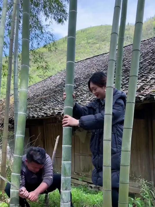 我们把鸡窝钉完围了起来，这么漂亮的家，小鸡应该会很满意的吧？