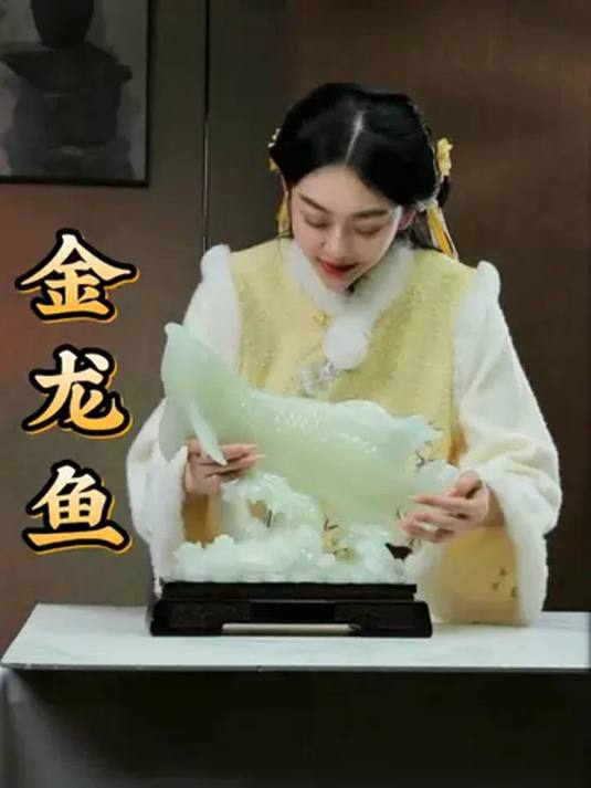 年轻老板摆金龙鱼有讲究 快看这里 别搞错