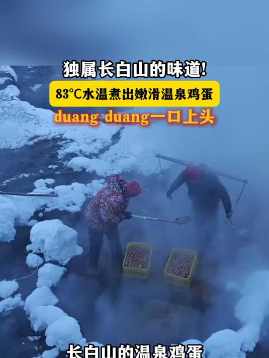 独属长白山的味道!83C水温煮出嫩滑温泉鸡蛋duang duang一口上头