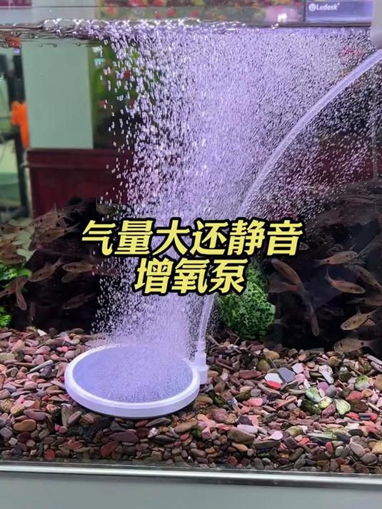 #养鱼#要是不准备一个#增氧泵#,那你几年鱼都白养了,便宜好用的增氧泵,养鱼人钓鱼人闭眼入