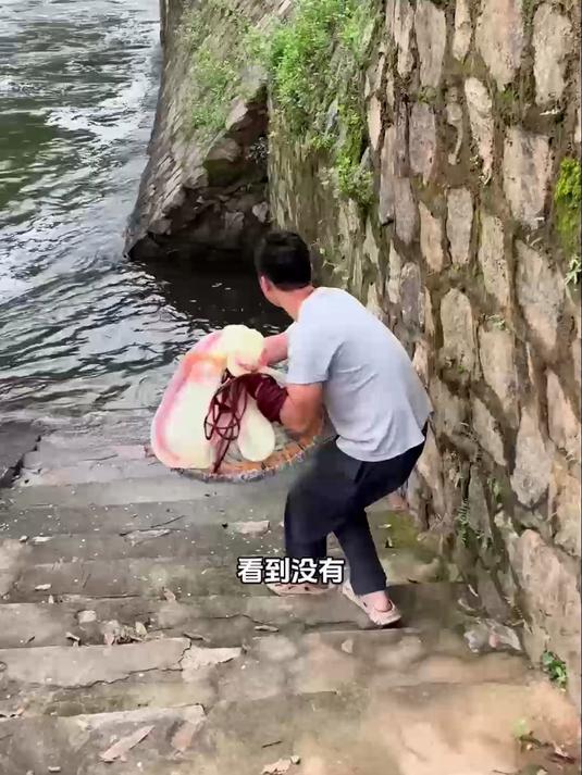 升级碳素线飞盘撒网，易撒易开特性，新手捕鱼超轻松！