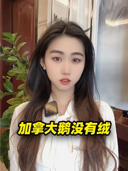 加拿大鹅没有绒,用的是鸭绒,这只“假鹅”是如何成为奢侈品的?