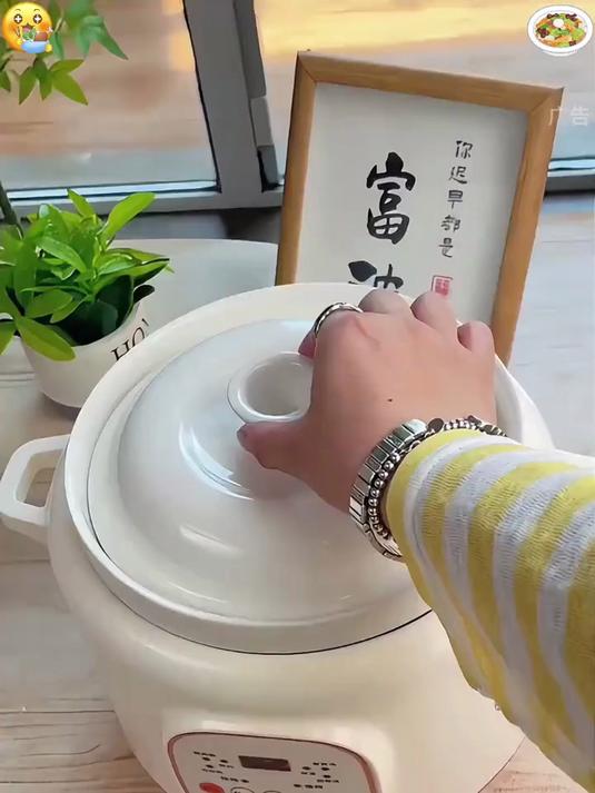 家里备上一个既能煲汤,炖肉,还能蒸米饭的“电炖锅”可太实用了