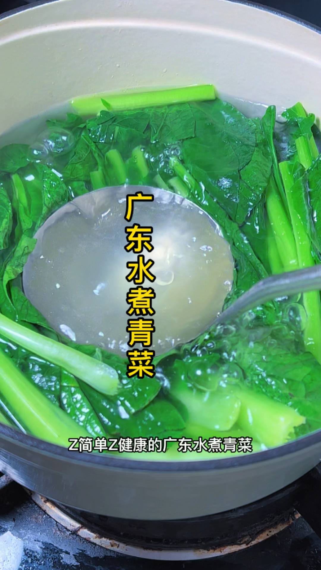 广东水煮青菜