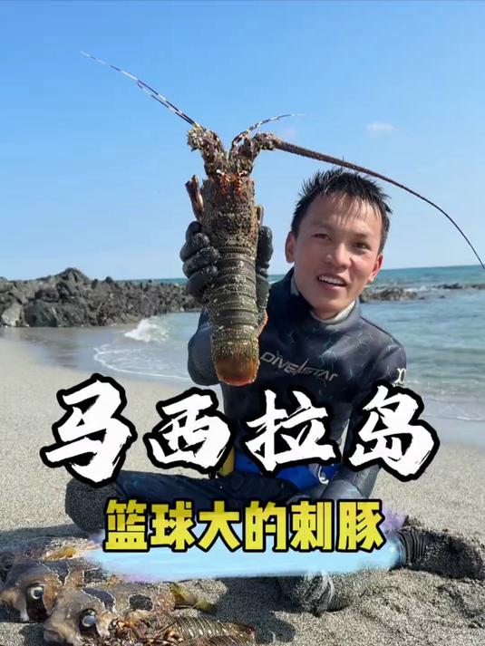 “不品刺龟鲜，不知鱼味”为了寻找到篮球大的刺豚，还有意外收获