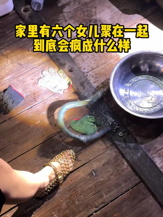 六姐妹第一次体验灯光鱿鱼！没想到除了鱿鱼，还有意外惊喜！