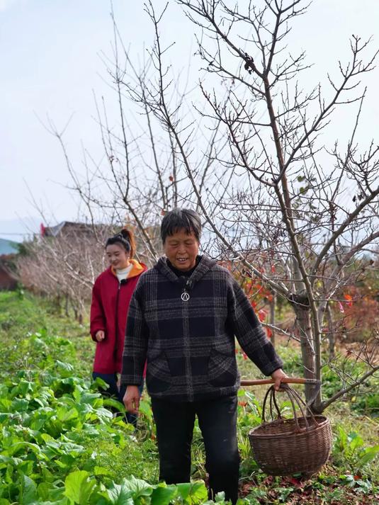 芥菜丝咸菜安排起来,开胃又下饭 深秋的芥菜丝咸菜可以安排上了