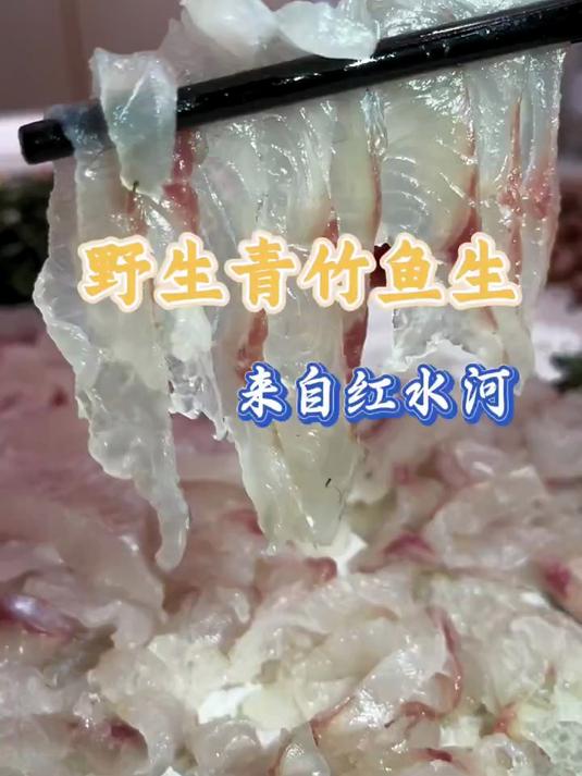 广西红水河野生青竹鱼生肉质晶莹剔透，周末小聚鱼生走起