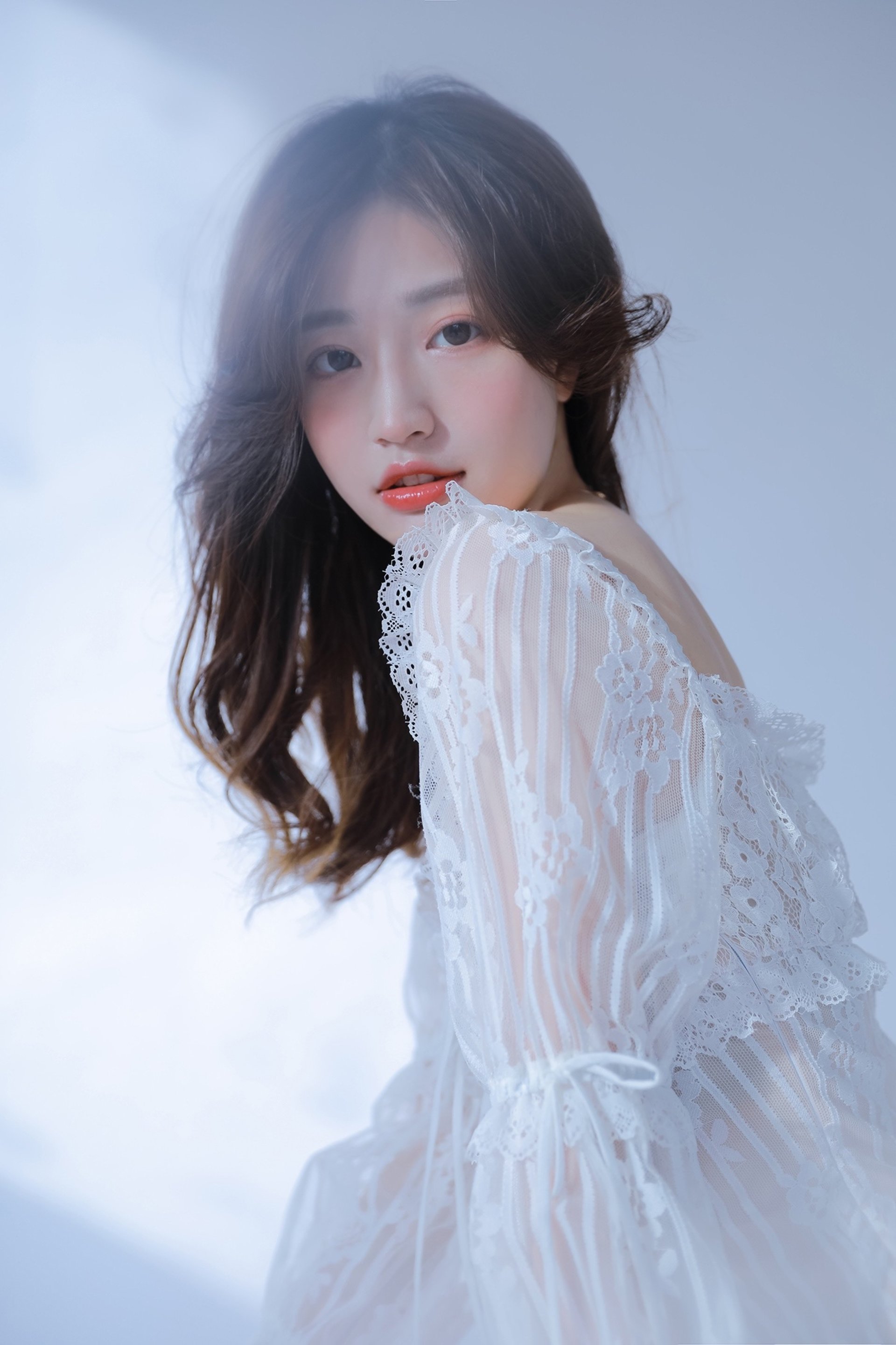 图片[13]-蝴蝶-六色网