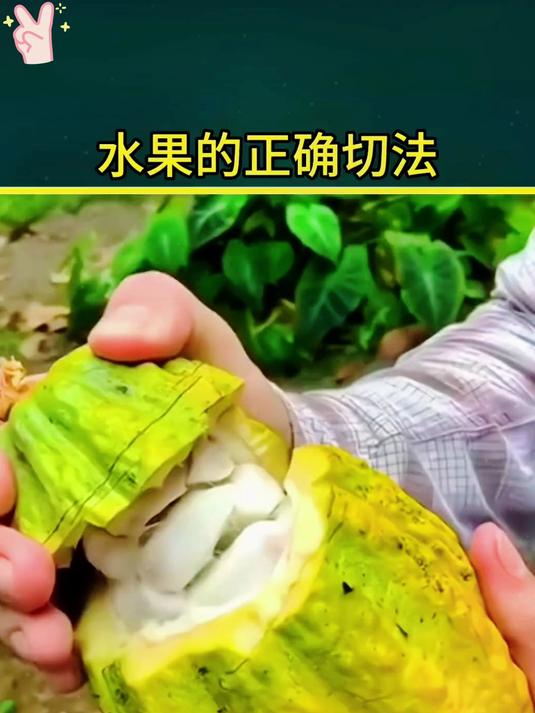 必学的水果切法,让你在制作水果沙拉时游刃有余!